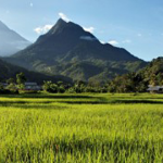 Sepa wants govt to call off dam projects