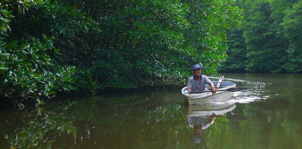 The 2,300 acres of the Aquaculture project in Pitas where pristine mangrove swamps were cleared before receiving approval for Environmental Impact Assessment (EIA) as mandated by the State law.